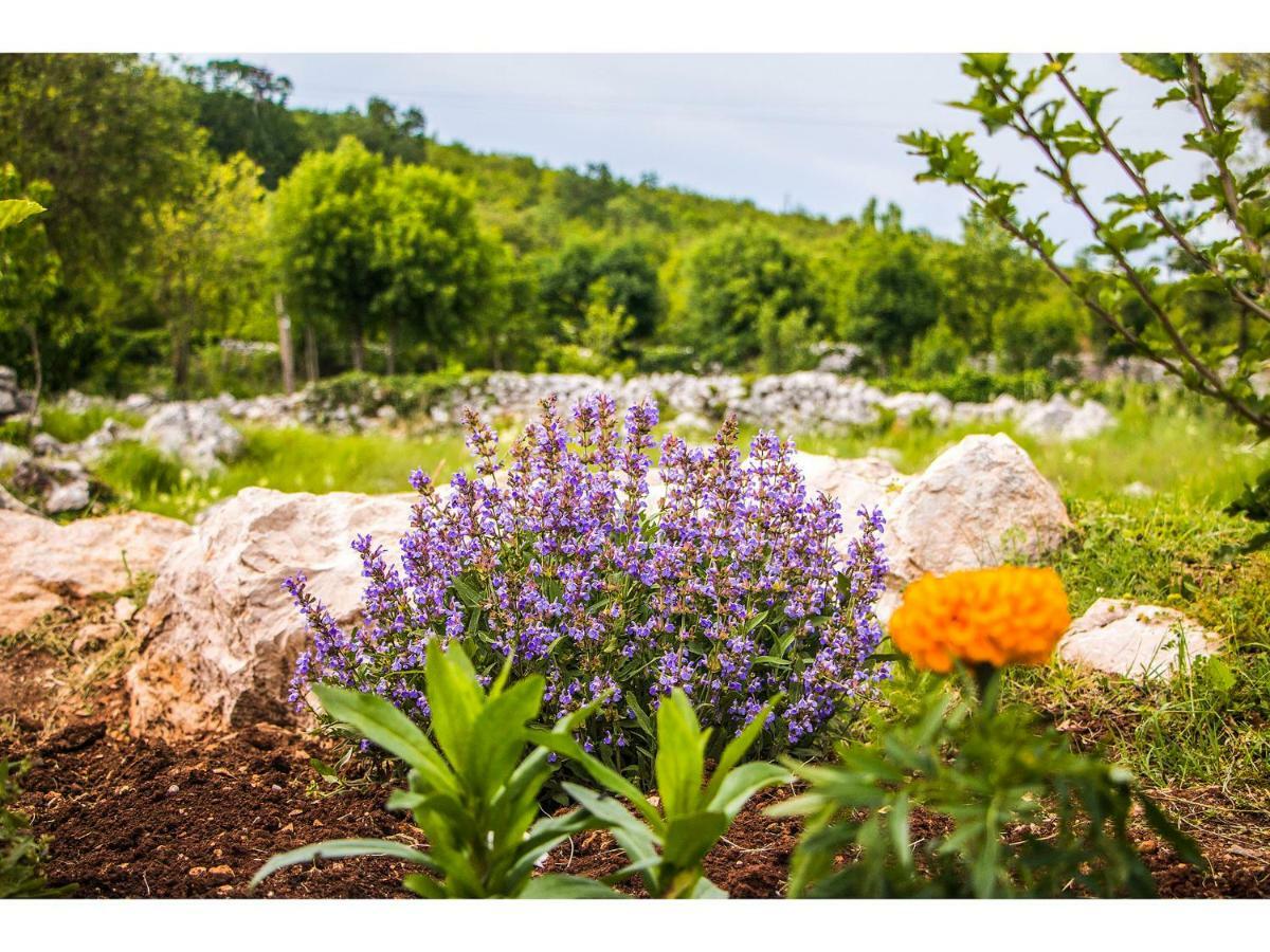 Villa Katja Omiš Exteriér fotografie